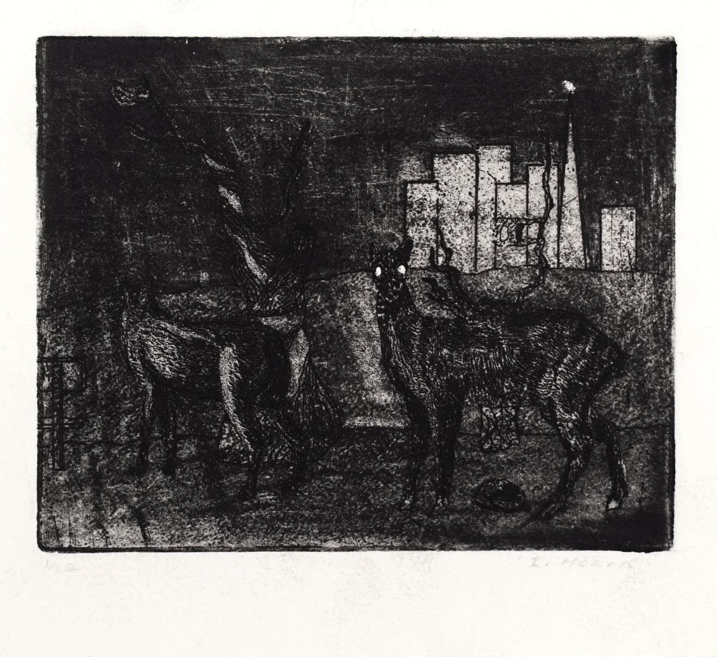 Nocturnal Animals 2 by Isaac Heard.